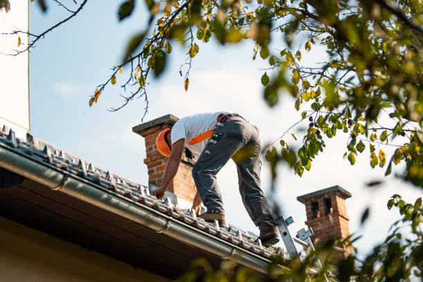 Best Roof Waterproofing Services  in Delta, OH